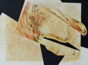 Fragment nomade , image paul duval artiste Sherbrooke Québec dessin à la poudre photocopieur